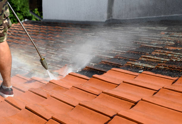 Best Residential Pressure Washing Services  in Tehaleh, WA